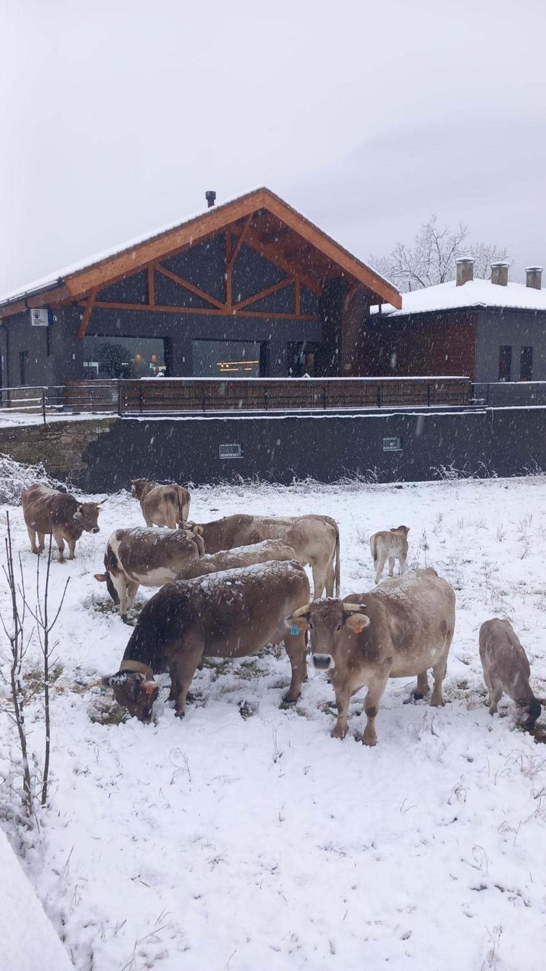 Hotel Cotiella Campo  Eksteriør bilde