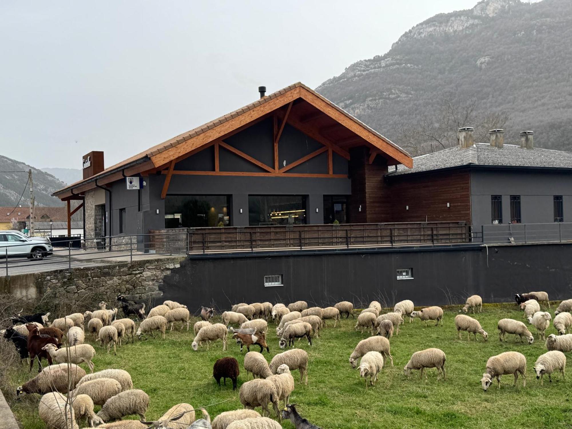 Hotel Cotiella Campo  Eksteriør bilde